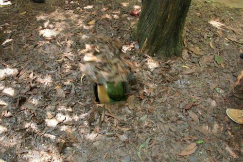 vn_september_15_00004